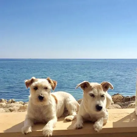 Casa Alba Serena By The Sea Marzamemi